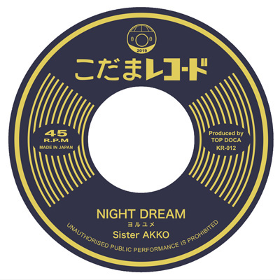 NIGHT DREAM / Hav Loves Dub
